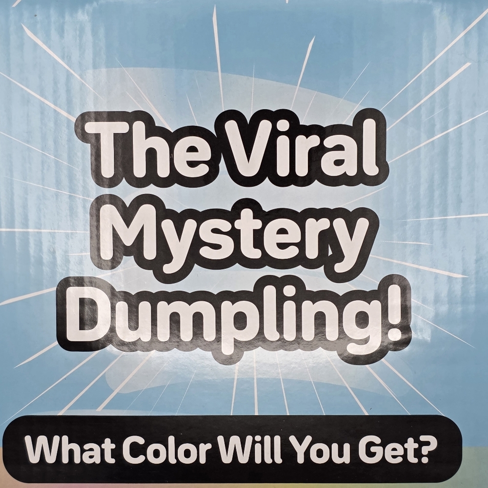 (2 pack) Holographic Mystery Squishy S10 - The Viral Mystery Dumpling! TIK TOK - Picture 7 of 7